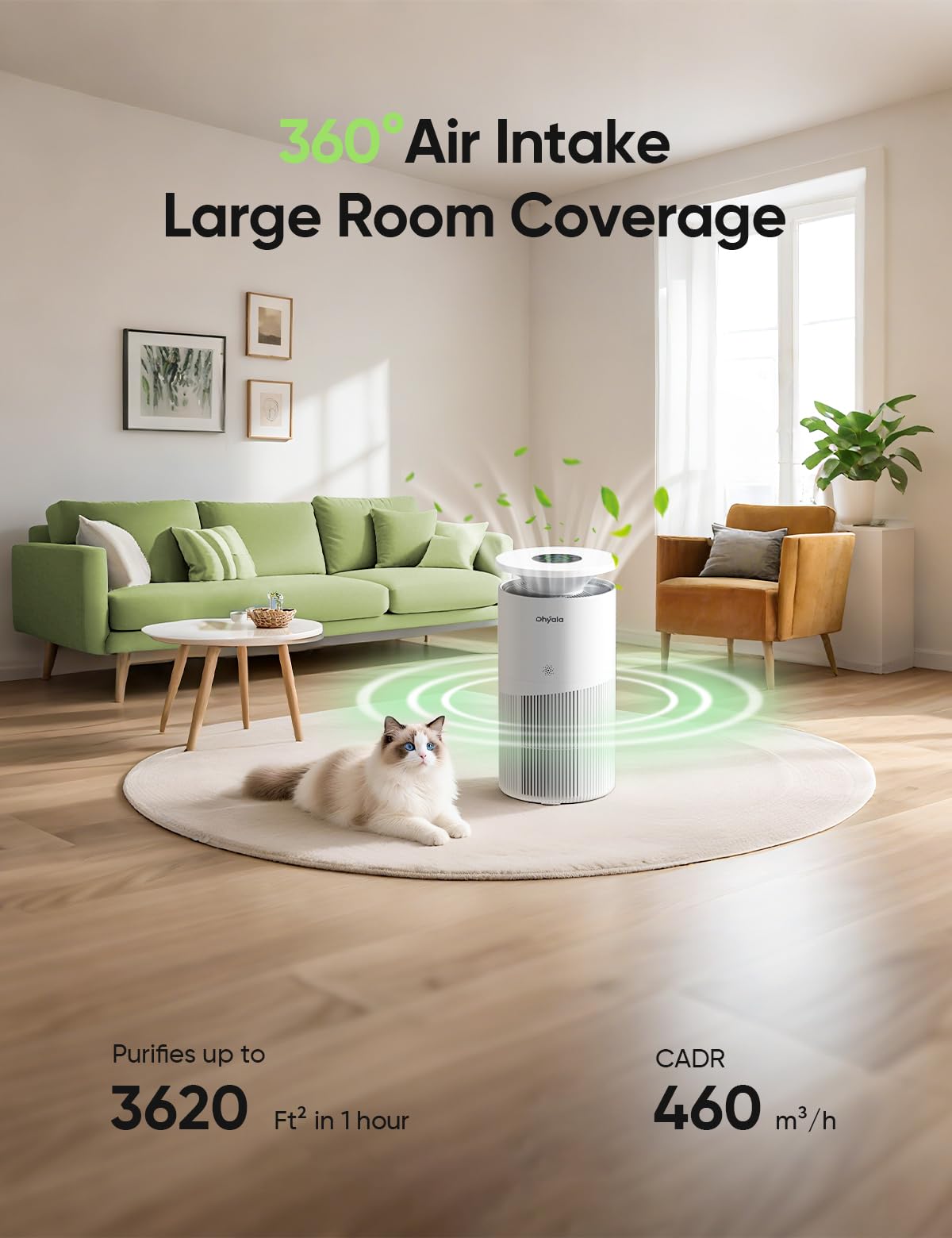 Dhyala KJ02 Air Purifier – 3620ft², H13 HEPA, Pet Hair & Odor, Smart WiFi, 360° Intake, Auto Mode, Pet Lock, Ultra-Quiet 22dB, 1 Filter + 6 Pre-Filters